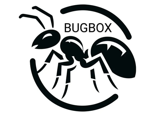 BugBox